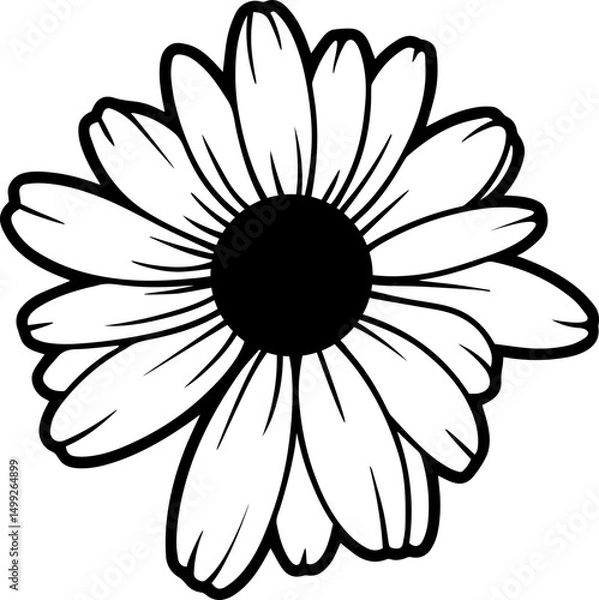 Fototapeta daisy flowers 