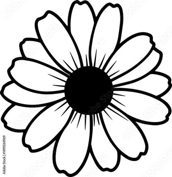 Fototapeta black and white daisy 