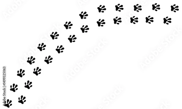 Obraz Cat footprints walk long and curved