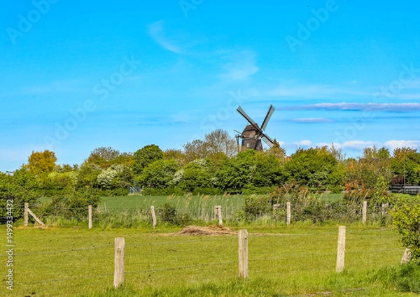 Fototapeta Windmühle auf Fehmarn