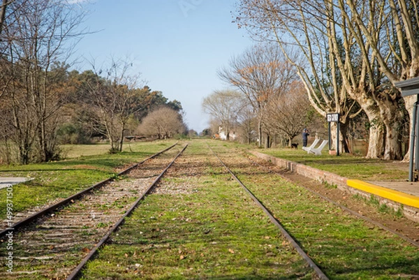 Obraz railroad tracks in the forest
