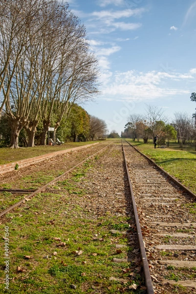 Obraz railway in the countryside