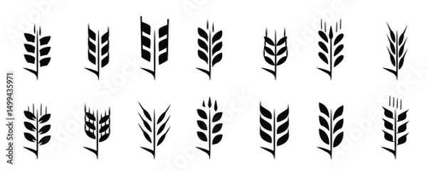 Fototapeta Black wheat ears icon collection. Ears of wheat bread silhouettes. Wheat grain symbol collection on a white background. Set of simple wheat ears icons. Vector