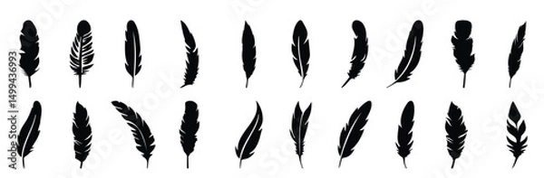 Fototapeta Abstract black bird feather icons. Feather silhouette collection. Elegance feather element decoration. Feather icons. Vector