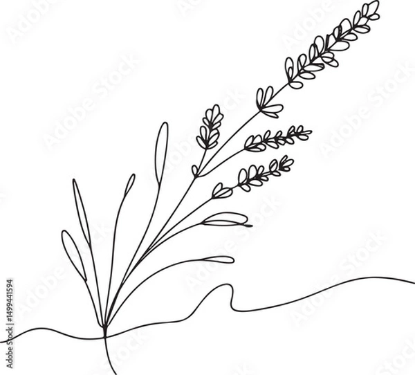 Fototapeta Minimalist continuous line drawing of lavender sprig on white background