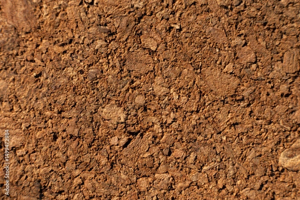 Obraz Close-up with shallow depth of field. Surface of pressed cork wood. Orange warm background