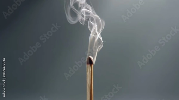 Obraz Matchstick is lit and the smoke is rising. Concept of danger and caution, as the lit matchstick could easily cause a fire if not handled carefully