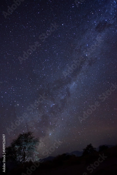 Fototapeta Un arbol y de fondo la via lactea desde el Desierto de Atacama, Chile