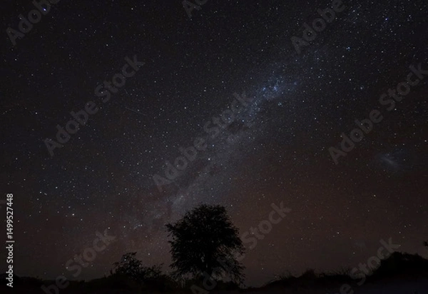 Fototapeta Un arbol y de fondo la via lactea desde el Desierto de Atacama, Chile