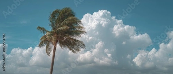 Fototapeta Palm Tree Silhouette Against Dramatic Cloudscape in Tropical Location on a Sunny Day Low Angle Shot