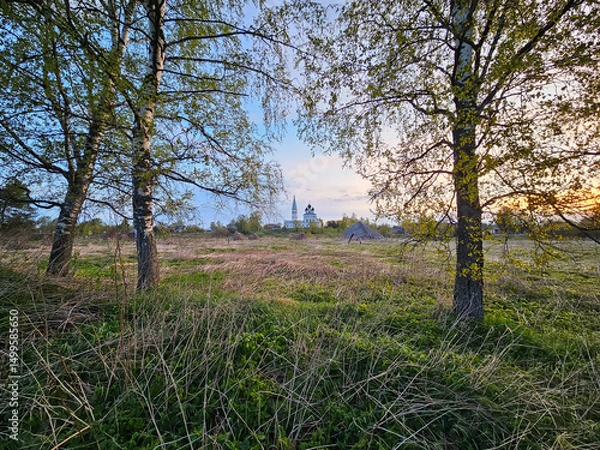 Obraz Rustic spring landscape at dawn.