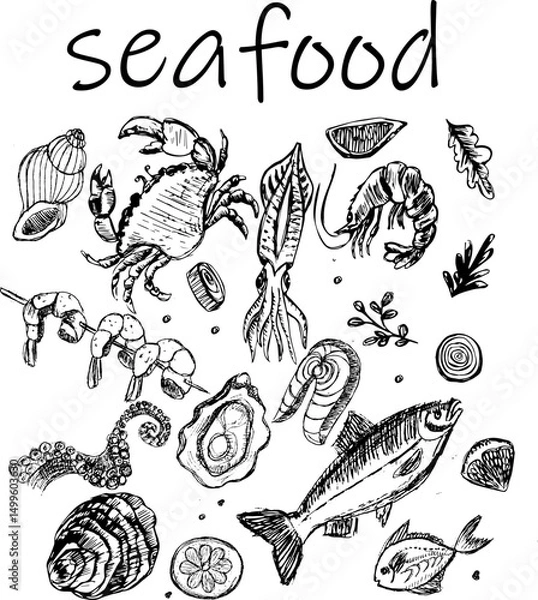 Fototapeta Various hand-drawn seafood illustrations including fish and shellfish  