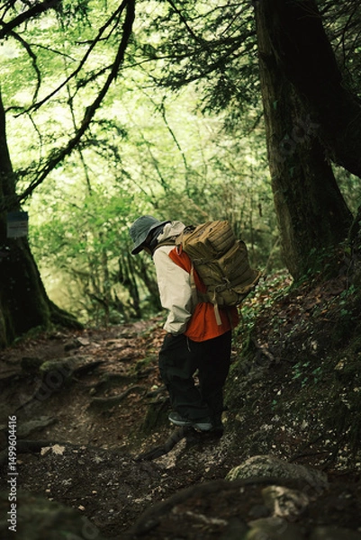 Obraz Hikers trekking through lush forest trails, with one individual leading and exploring alone, symbolizing adventure, nature, and solitude.
