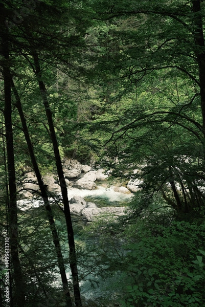 Obraz River Flowing Through Forest on Olympus Mountain
