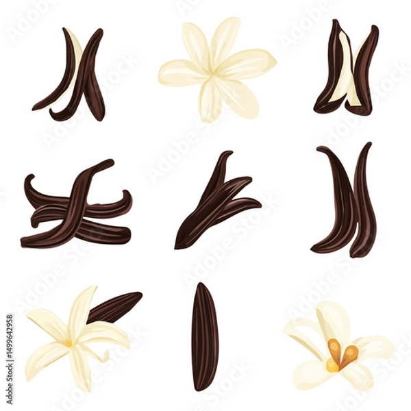 Obraz My Simple flat 2D icon vanilla pods set isolated on transparent background, vector, flat design, animation design, simple flat 2D icon, minimalist design, clipart