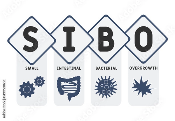 Fototapeta SIBO - Small Intestinal Bacterial Overgrowth acronym. medical concept background. vector illustration concept with keywords and icons. lettering illustration with icons for web banner, flyer, landing