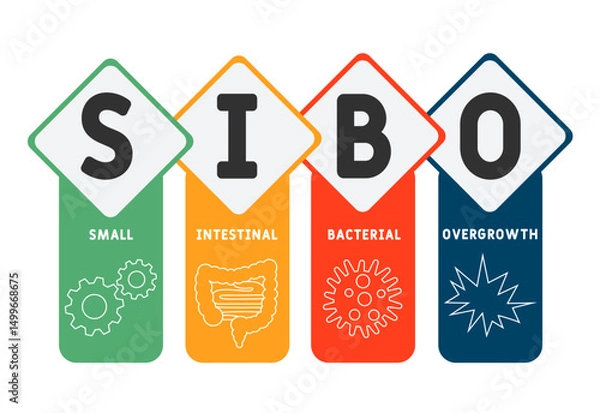 Obraz SIBO - Small Intestinal Bacterial Overgrowth acronym. medical concept background. vector illustration concept with keywords and icons. lettering illustration with icons for web banner, flyer, landing