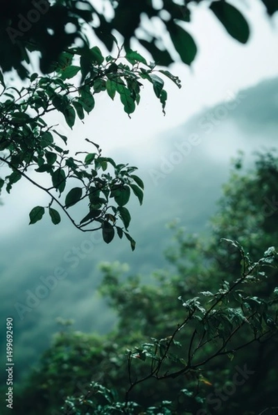 Fototapeta Realistic foggy forest with close-up of green leaves and dense mist