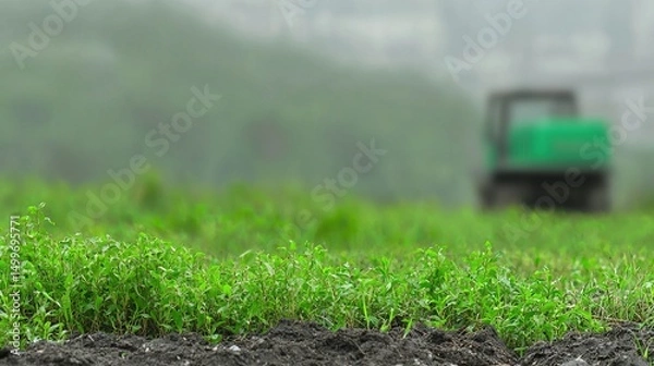 Obraz Green field tractor farming agriculture.