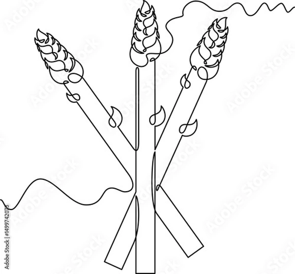Fototapeta one line art Asparagus vector illustration. line art, one continuous line, simple, hand drawn and sketch style. for icons, symbols, signs or logos. PNG