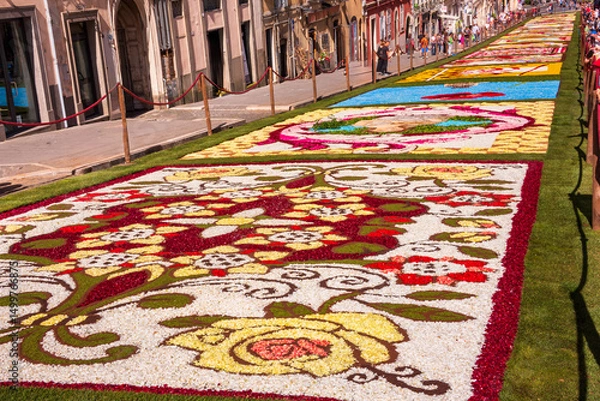 Obraz Flower petals carpet, decoration of multicolored cut flowers