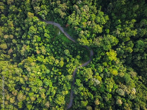 Obraz aerial view of road in the middle of rainforest