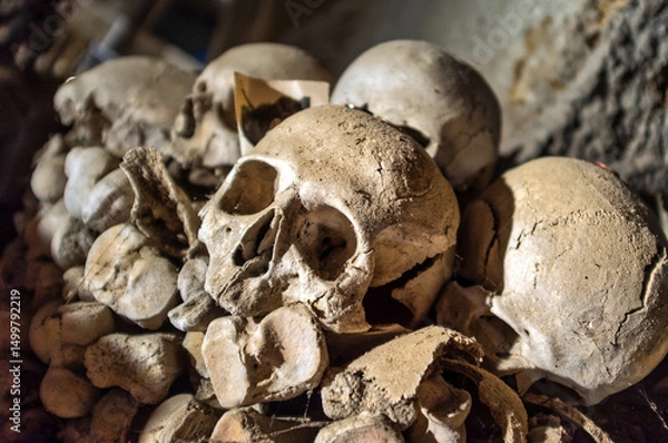 Fototapeta Ancient Human Skulls and Bones in Crypt or Ossuary