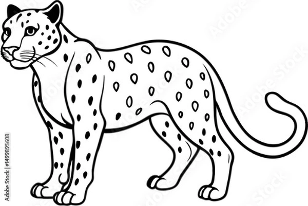 Obraz White Snow Leopard Line Art