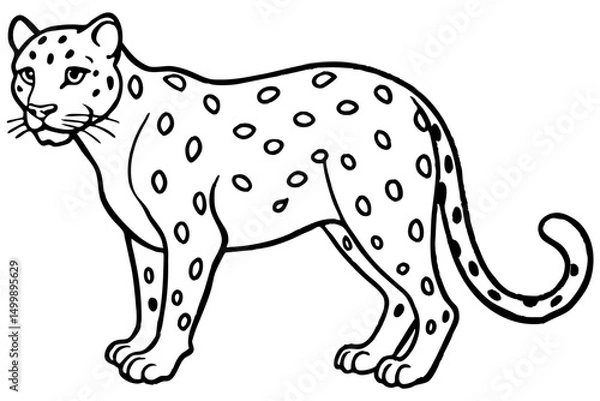 Obraz White Snow Leopard Line Art