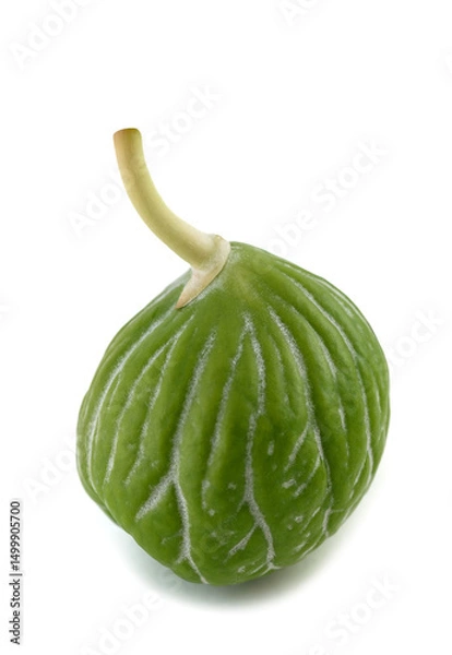 Obraz Apple of Sodom fruit