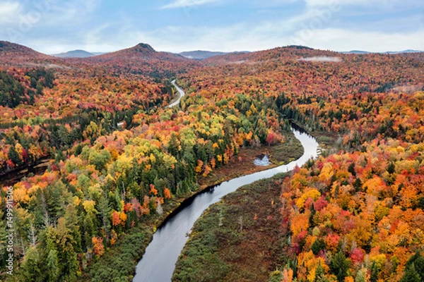 Obraz Bog River Aerial