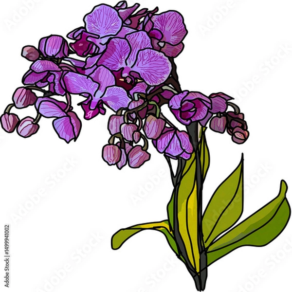 Obraz Purple orchid flower