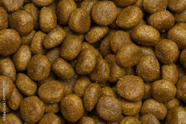 Obraz ultra premium holistic kibble macro