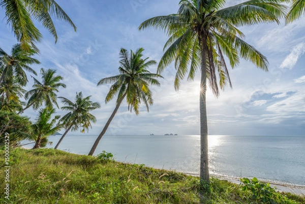 Obraz Palm trees at the beach, Thailand