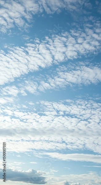 Fototapeta Blue sky filled with a multitude of cotton-like clouds on a sunny day