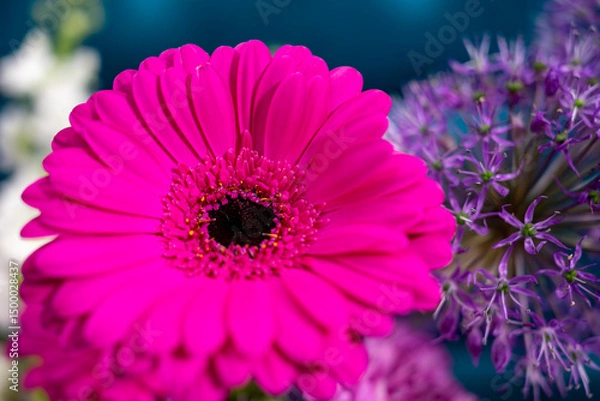 Fototapeta Vibrant pink gerbera daisy in a colorful floral arrangement