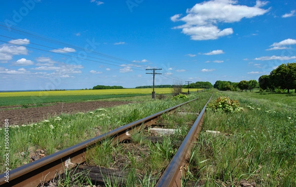 Fototapeta old narrow gauge railway and power line in rural fields