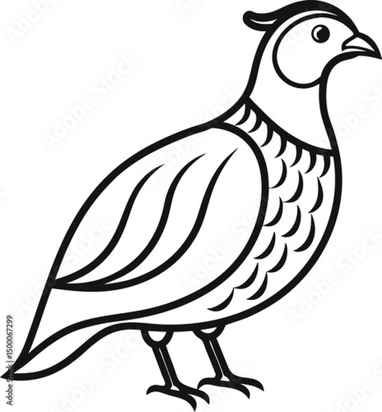 Fototapeta quail outline icon on transparent background