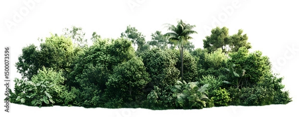 Obraz PNG Green forest vegetation landscape scenery.