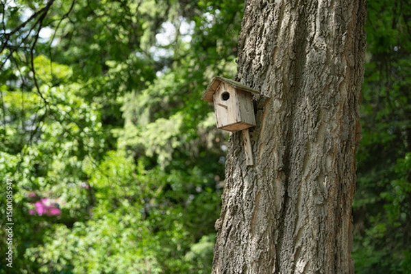 Fototapeta A wooden birdhouse is attached securely to the trunk of a large tree. Surrounding greenery showcases the beauty of spring with colorful flowers and fresh leaves, creating a lively atmosphere