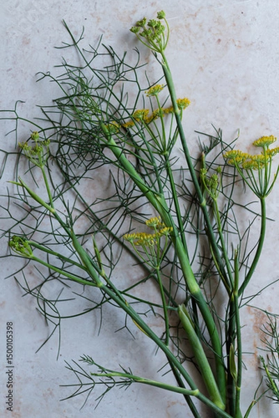 Fototapeta Bundle of fennel with green fronds and yellow flowers on a textured surface, perfect for culinary blogs. Enhance your recipes or food photography projects. Perfect for chefs, cafes or organic dining. 