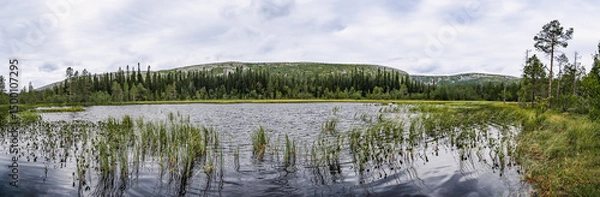 Fototapeta Experience the panoramic view of the breathtaking nature at Fulufjället National Park in Dalarna, Sweden, a tranquil lake with the lush greenery boreal forest and majestic mountain cliffs around it