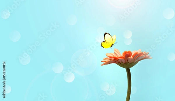 Obraz Flower and butterfly with blur shiny background. Nature background.