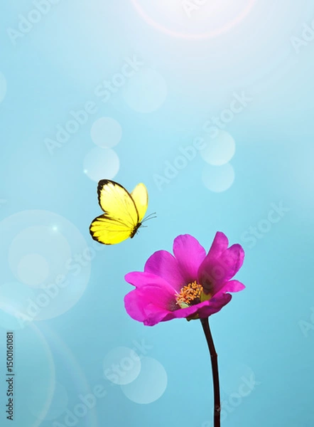 Obraz Flower and butterfly with blur shiny background. Nature background.