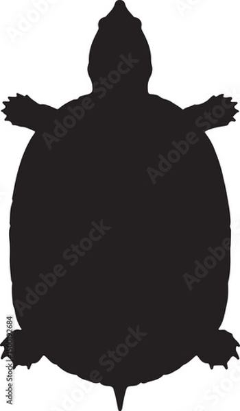 Fototapeta Chinese Softshell Turtle top view vector silhouette on white background