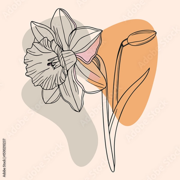 Fototapeta Delicate narcissus drawn with single elegant line on pastel background. Minimalistic beauty, fine contours, airy lightness.