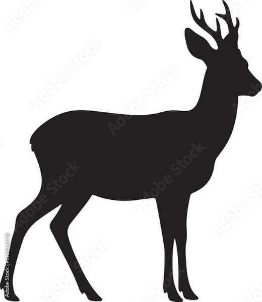 Obraz Roe Deer Silhouette Vector