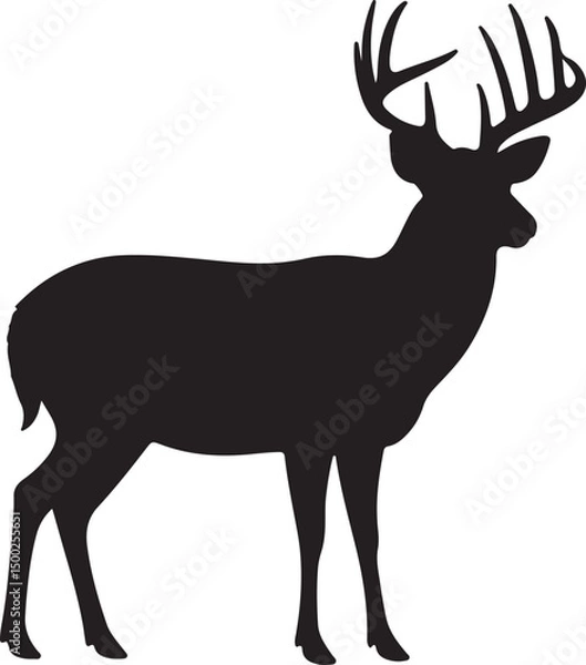 Obraz White-tailed Deer Silhouette