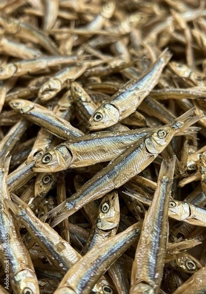 Fototapeta Photo of Dried Brown Fish Pile with Close-Up Texture and Seafood Background