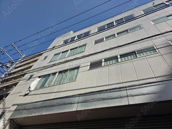 Obraz Japanese Building